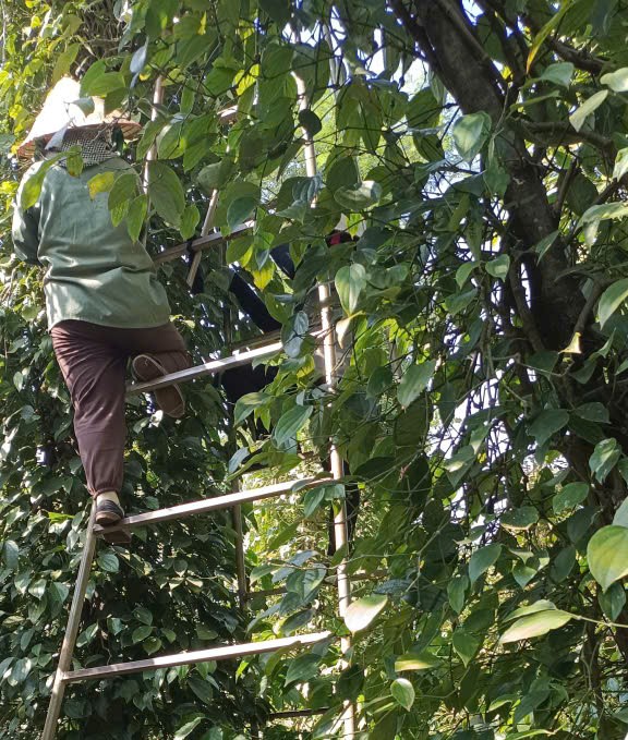 z7649153646702_c6492964a99fe645a3062bae73ca9538