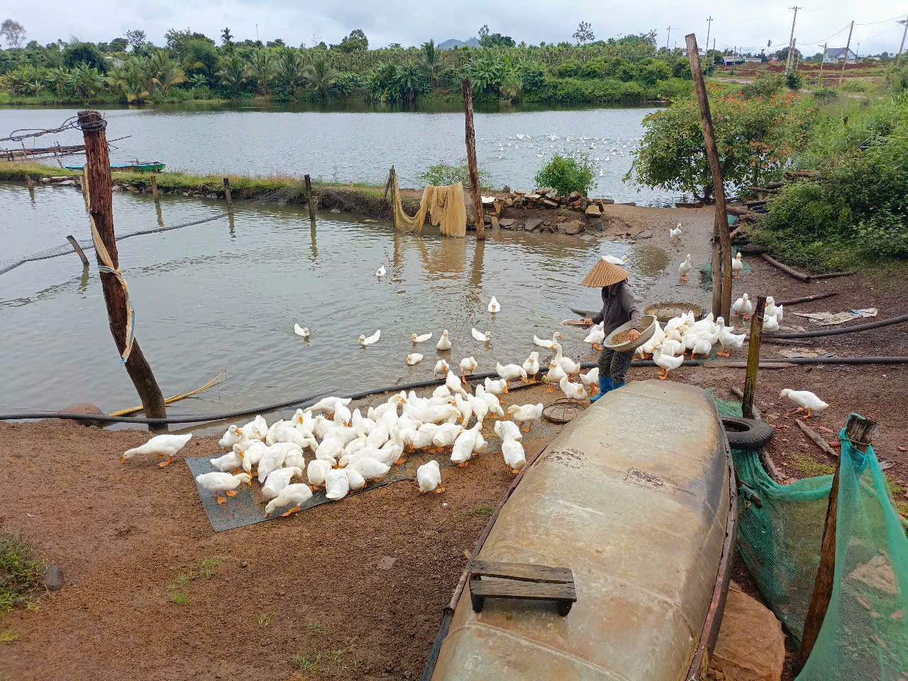 z7263113807290_1bd420bbb6af4c73ef42de52f7c281f1