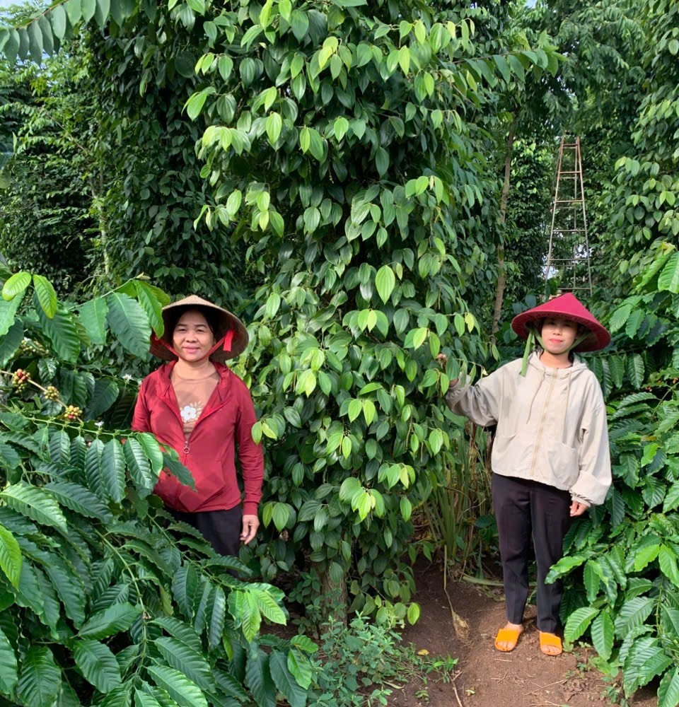 z7263114284527_f226ced968069a2f58e6d30f374734a3