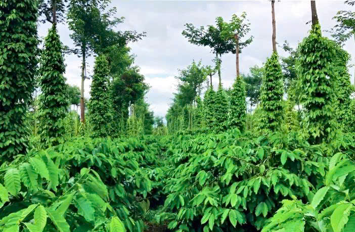 z7263136084980_946a7d59b6b3137db94b5fedaa185347