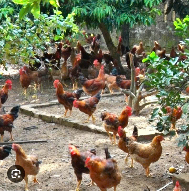 z7263136105066_deaa3fdf1c1b92c9ec88f32d65cd5d1c