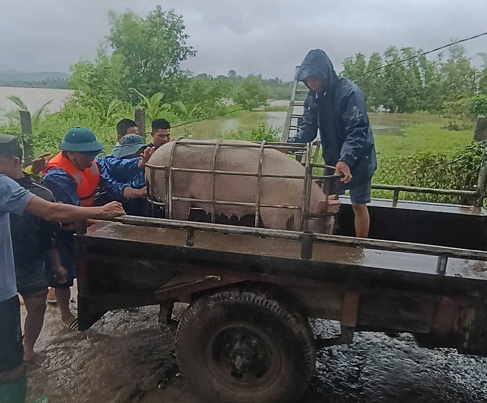 z7243728230178_aec5b653c4aeb48b8c9d77bc8a221264