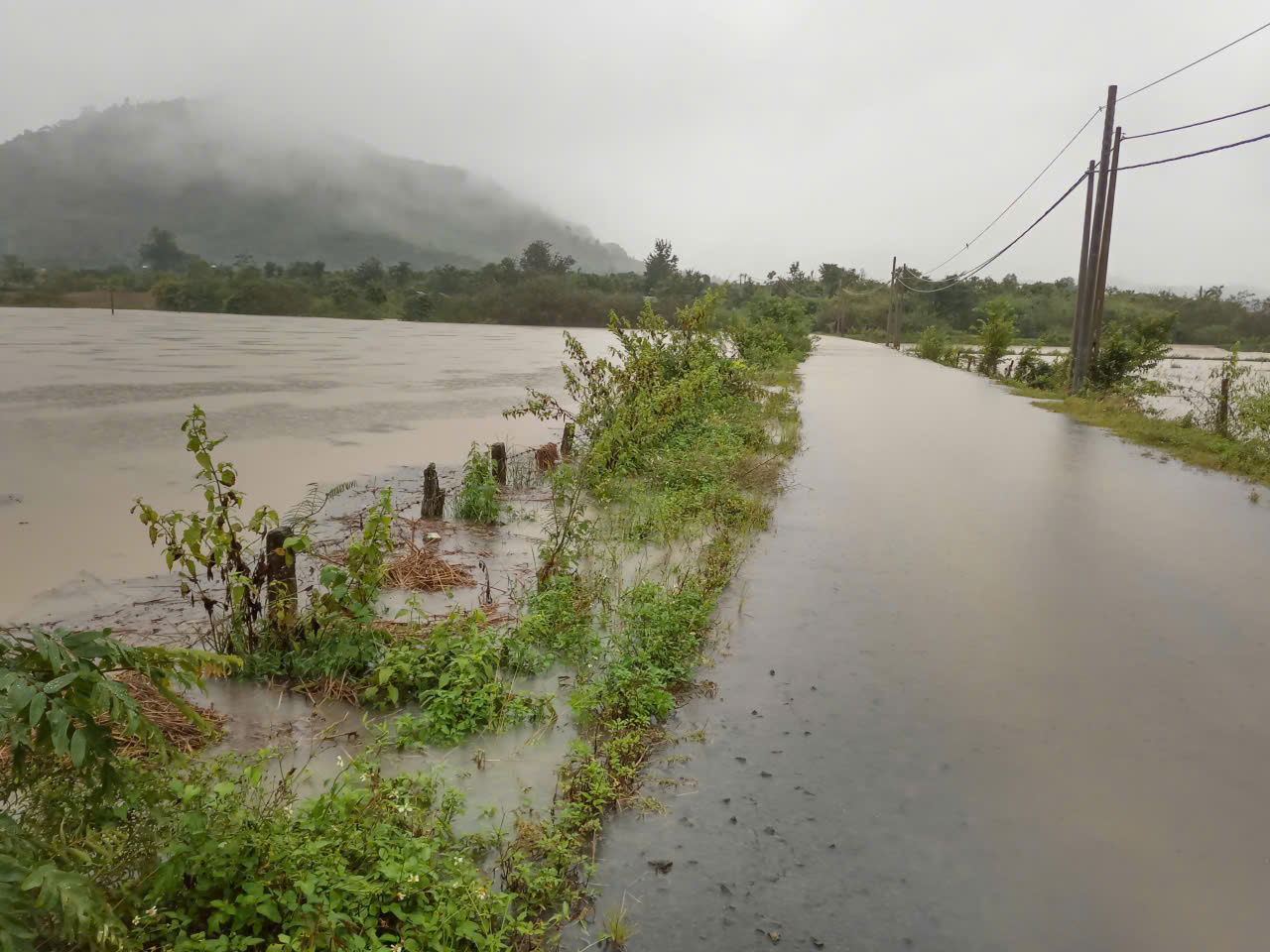 z7241392277133_67783812fb49c999182ebe6ca6ecb7d0