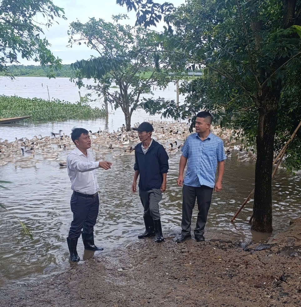 z7197547412503_2e476d4000c2e97ffc902bc35bffe868