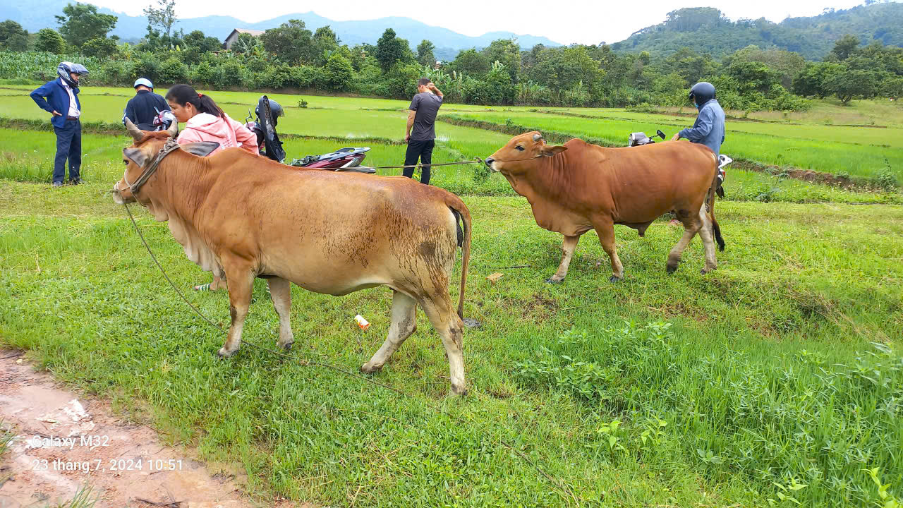 z7343202783745_9af3a6097113514ce99070809458f943