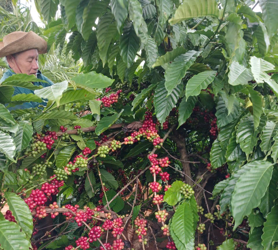 z7343269555806_ab9fb204a08bc409f3992d41bd8c19a5