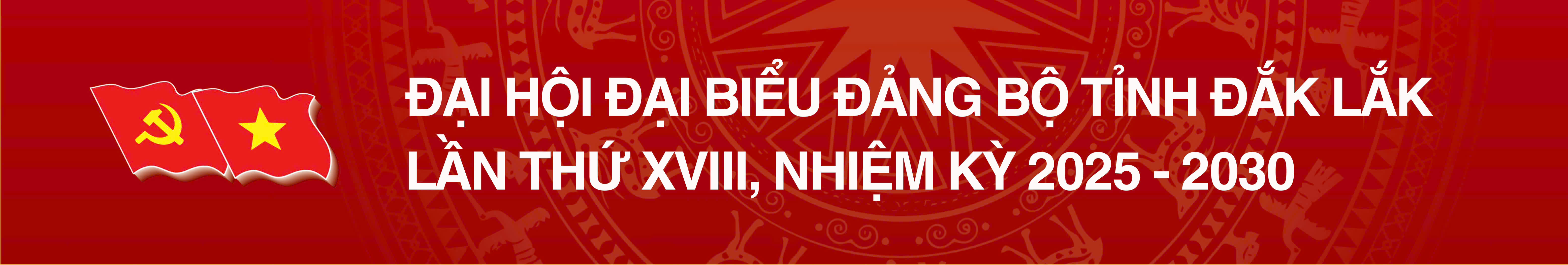 sfdsafsda
