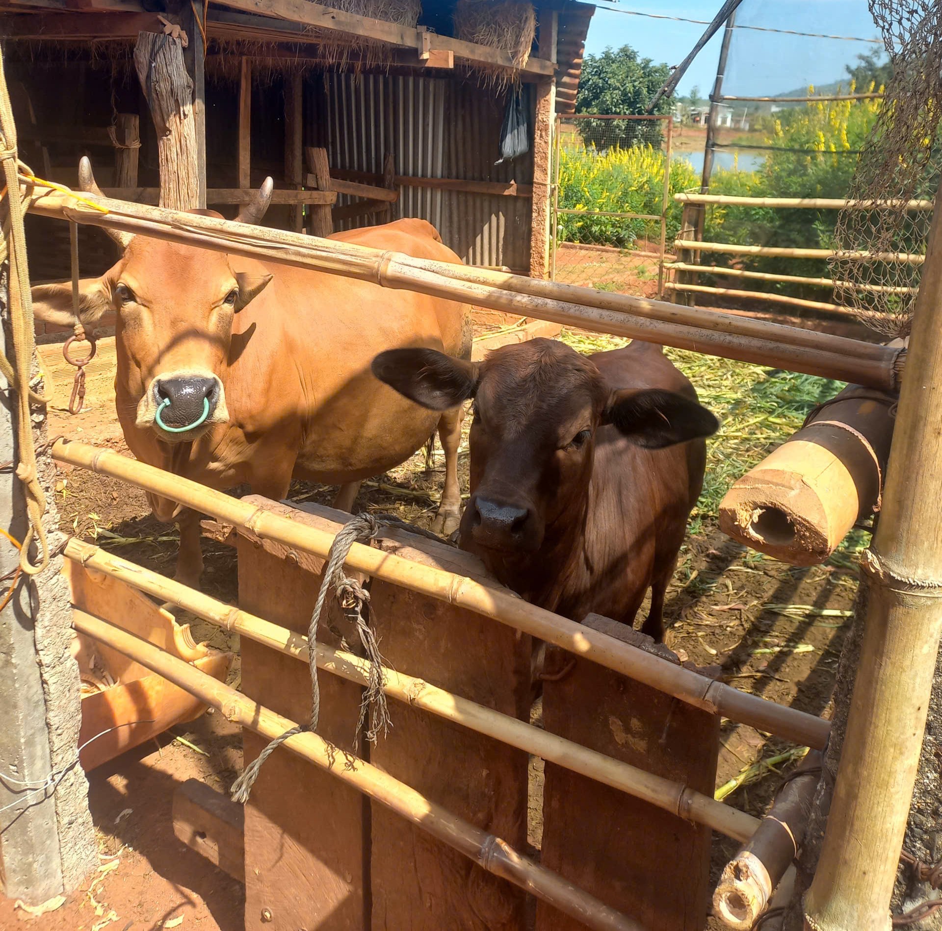 z7482783855356_773e99019374d77d77e1fd57178c8629