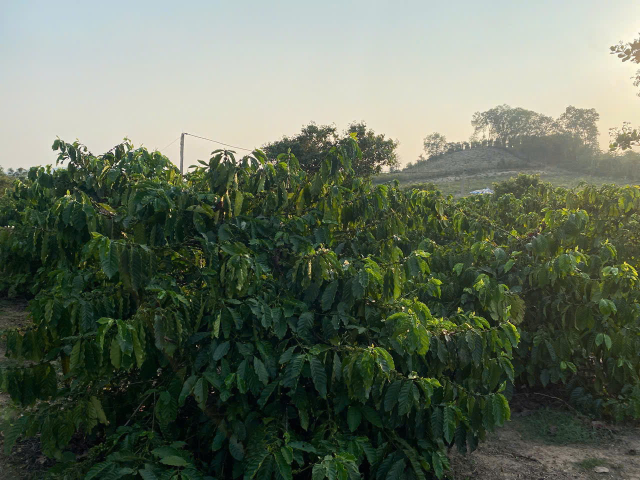 z7746285289601-affef55338dacfa9b96b515f913f70d0