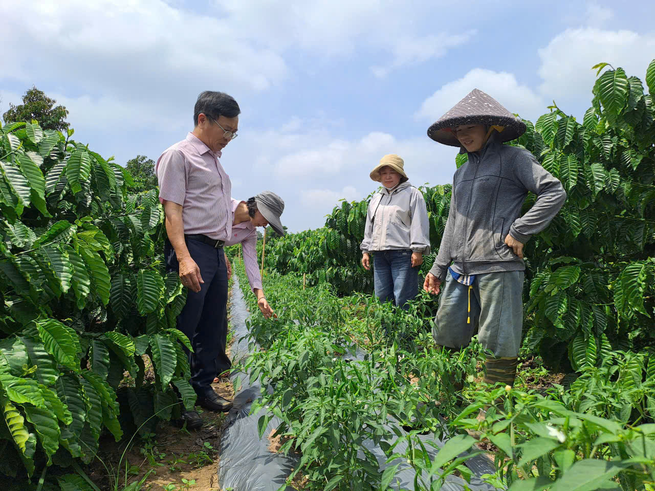 TỪ NGUỒN VỐN TÍN DỤNG CHÍNH SÁCH, HỘ NGHÈO VƯƠN LÊN THOÁT NGHÈO