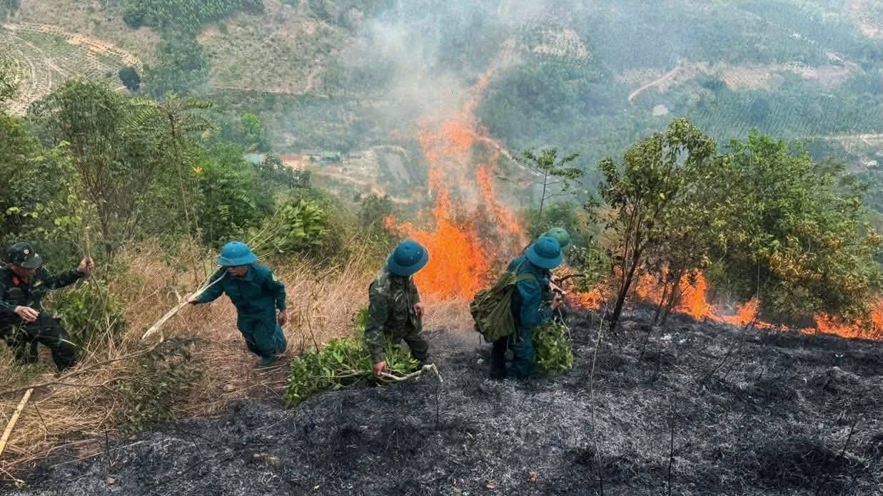 KHẨN TRƯƠNG KHẮC PHỤC CHÁY RỪNG TẠI ĐỒI THÔN 1B, XÃ EA NING.