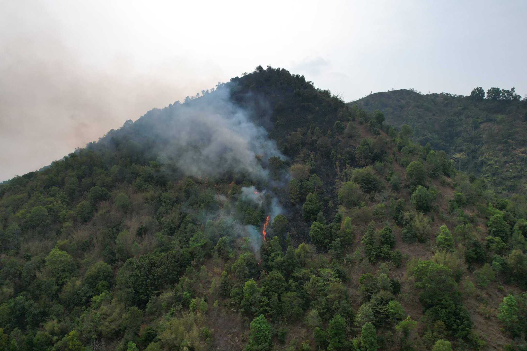 672088050-971405728617263-5550710764370047542-n